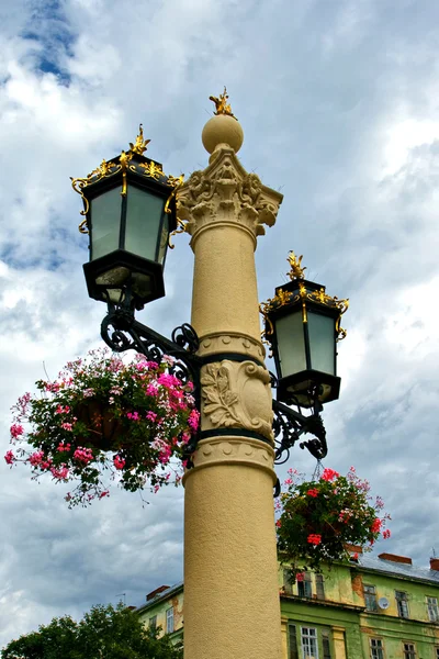 Květinový koš na pouliční lampa — Stock fotografie