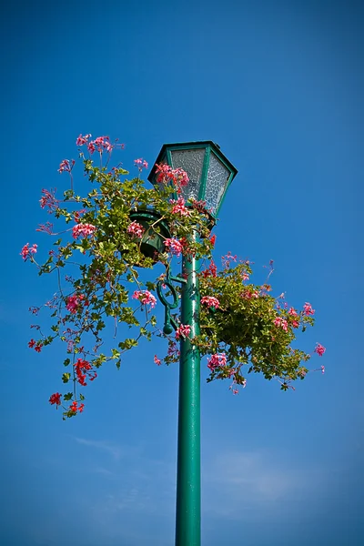 Лампа с корзиной цветов — стоковое фото