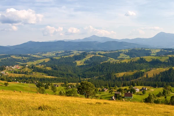 stock image Typically sunny rural farmland scene