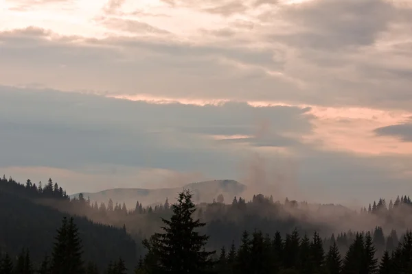 Πρωινή ομίχλη που καλύπτει την κοιλάδα του βουνού — Φωτογραφία Αρχείου