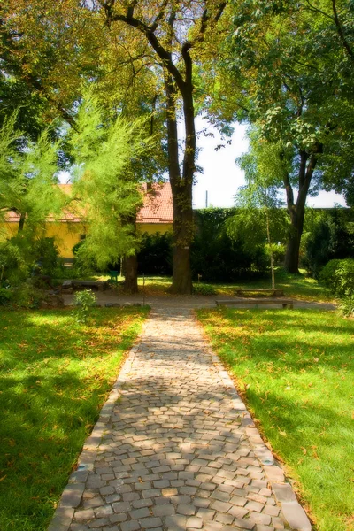 Jardim caminho de pedra com grama — Fotografia de Stock