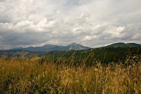Mountain landscape with storm clouds — Stock Photo, Image
