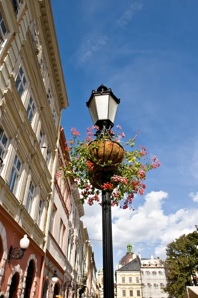 Расположение цветов на уличной лампе — стоковое фото