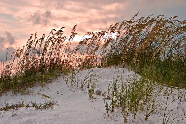 Sand dune — Stock Photo, Image