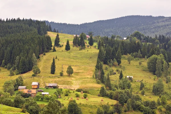 녹색 산 농지 — 스톡 사진