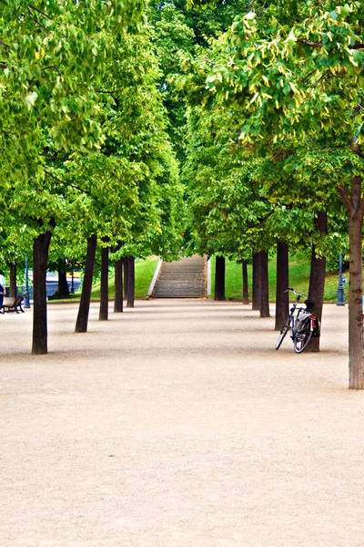 stock image Green park alley