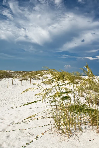 Dunas de areia na costa — Fotografia de Stock