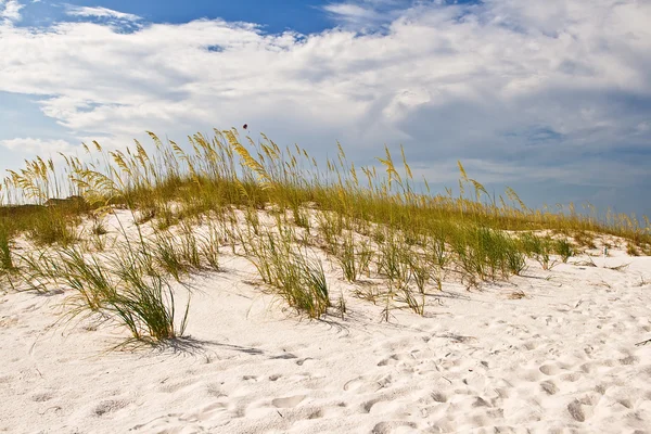 Sandy dunes — Stock Photo, Image