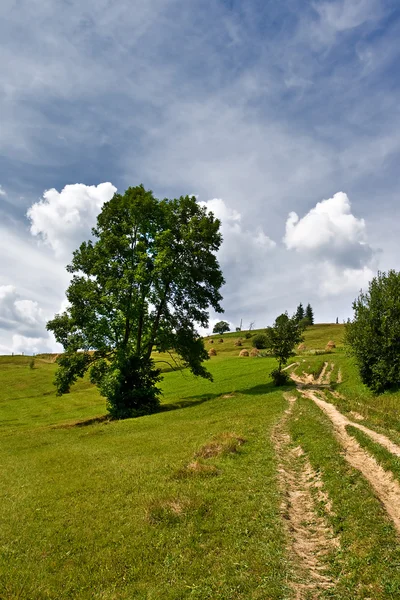 stock image Beautiful countryside landscape