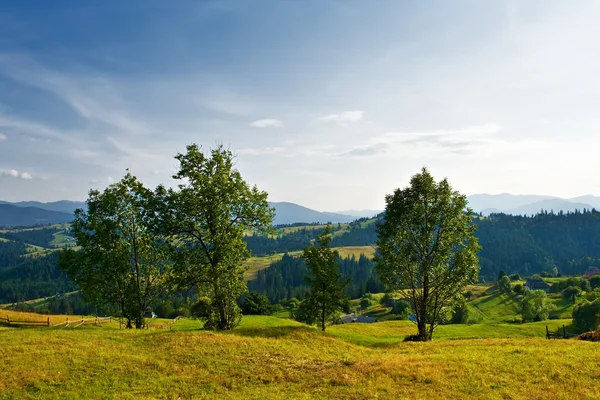 Ländliche Landschaft mit Bäumen, Hügeln und Bergen — Stockfoto