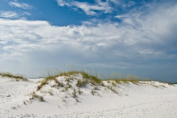 Dune di sabbia bianca — Foto Stock
