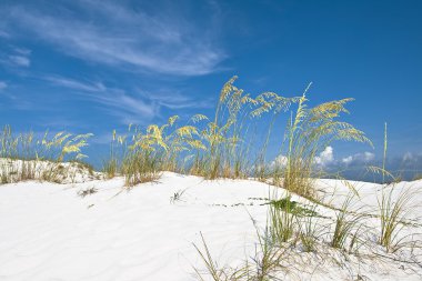 White sand dunes clipart