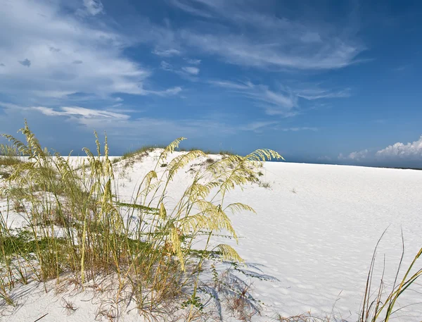 Панорамный вид белых песчаных дюн — стоковое фото