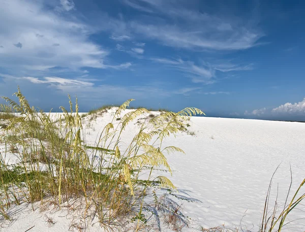 stock image Panoramic view of white sand dunes