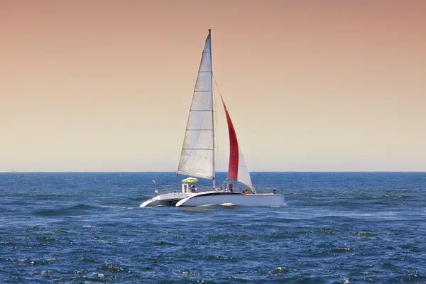 Sailing towards sunset — Stock Photo, Image