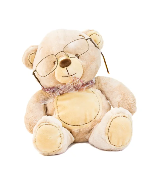 Urso com óculos — Fotografia de Stock
