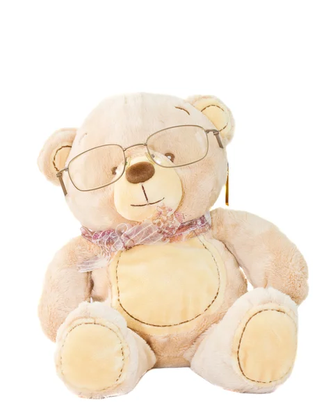 Bear in glasses — Stock Photo, Image