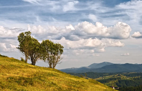 나무와 산이 있는 풍경 — 스톡 사진