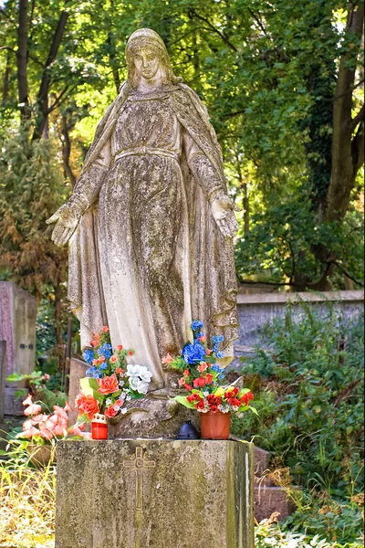 聖母マリア像 — ストック写真