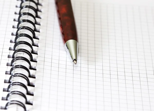 Pen liggend op geopende notitieboek — Stockfoto