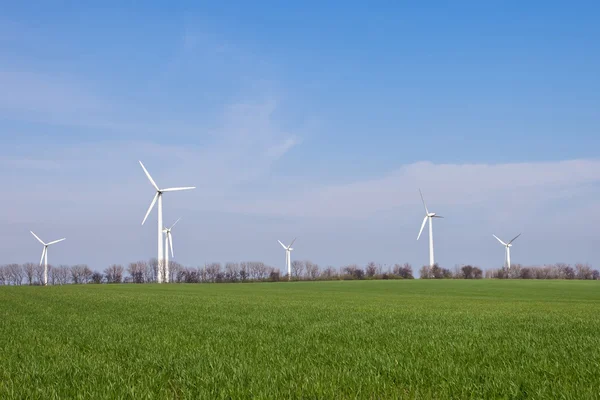 Feld mit Windenergieanlagen — Stockfoto