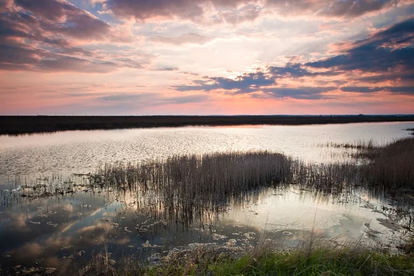 湖の上の美しい夕日 — ストック写真