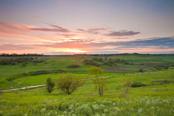Prairies vertes au coucher du soleil — Photo