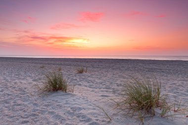 Sunset over Florida coastline clipart