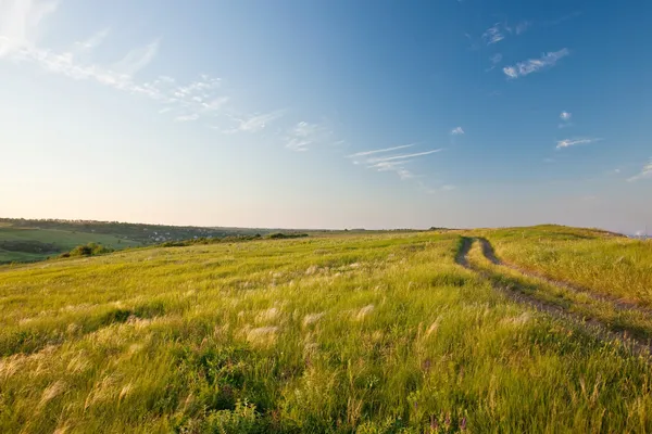 Evening in a summer steppe — Stok fotoğraf