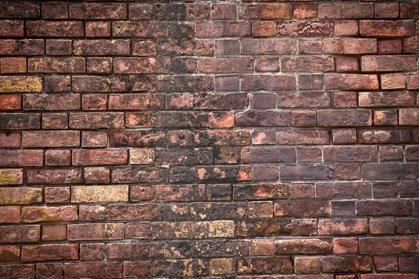Struktura ściany z cegły — Zdjęcie stockowe