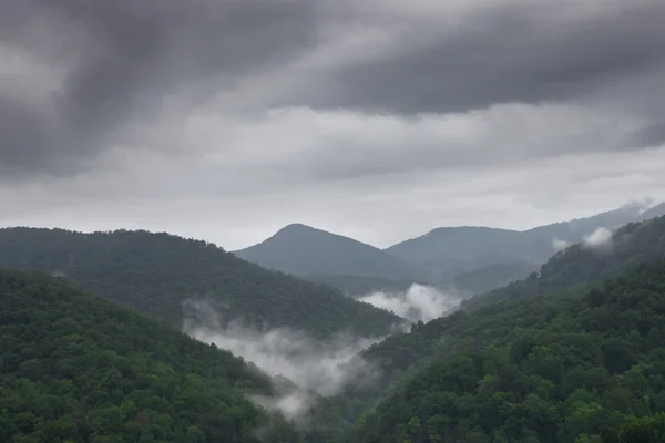 Nublado y nebuloso verano nountain paisaje — Foto de Stock