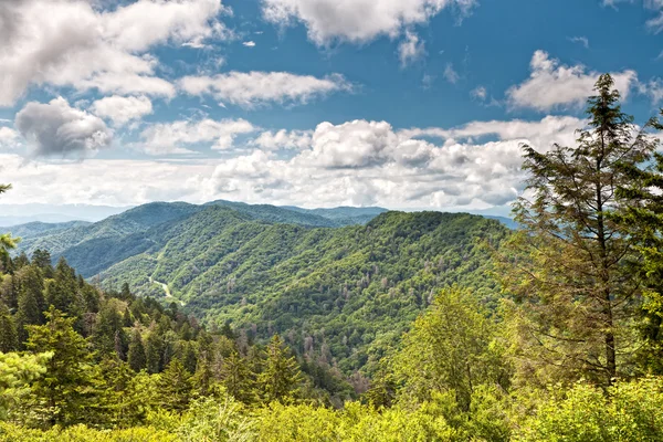 Great Smoky Mountains — Stockfoto