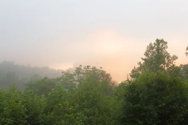 Dimmiga kuperat område med fog — Stockfoto