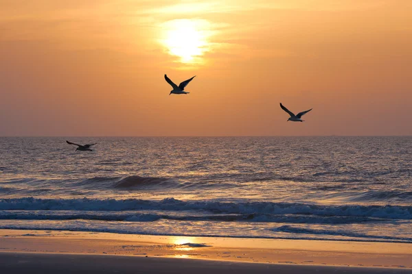 Solnedgång och havet — Stockfoto