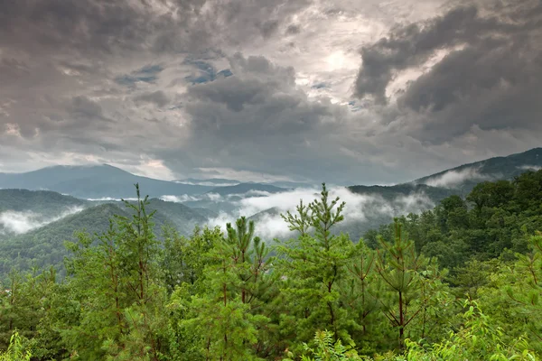 Mountain valley landscape — Stock Photo, Image