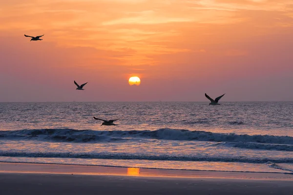 Západ slunce na Atlantském oceánu — Stock fotografie