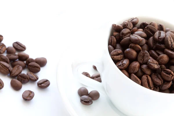 White cup with coffee beans — Stock Photo, Image