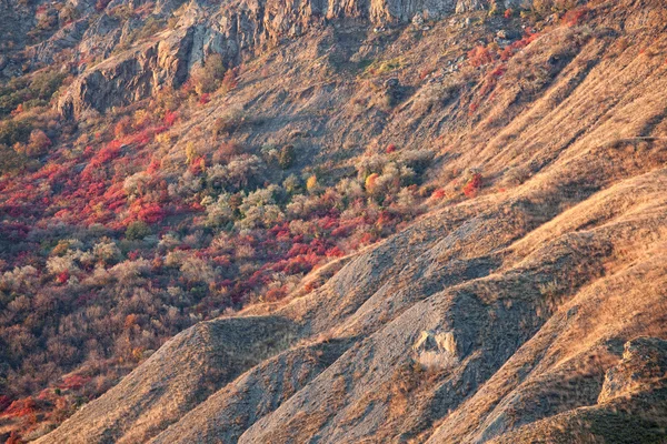 Árvores de outono nas montanhas — Fotografia de Stock
