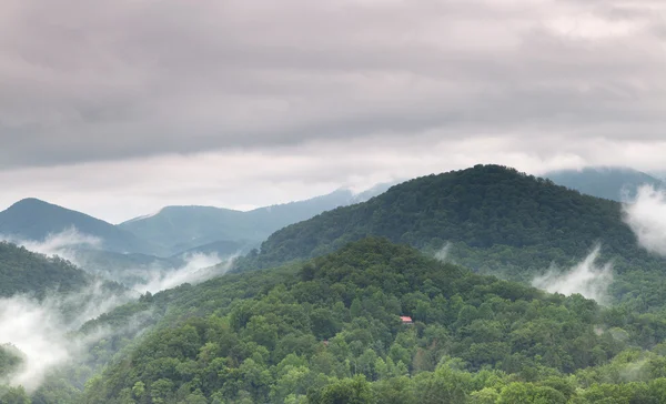 曇りや霧の夏の山の風景 — ストック写真
