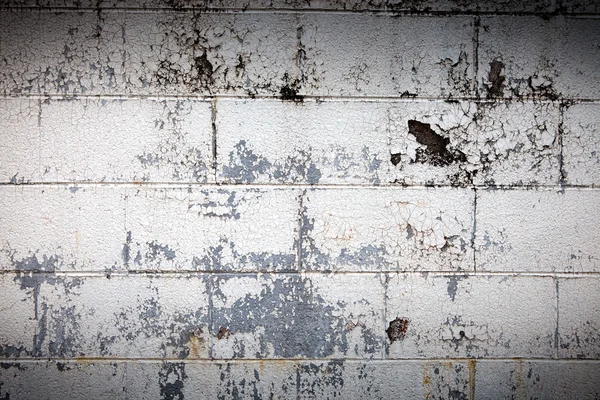 stock image Grunge white wall