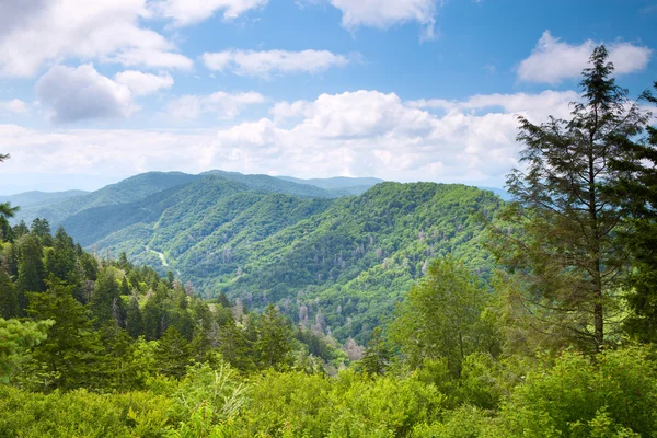 Vallée de montagne au soleil — Photo