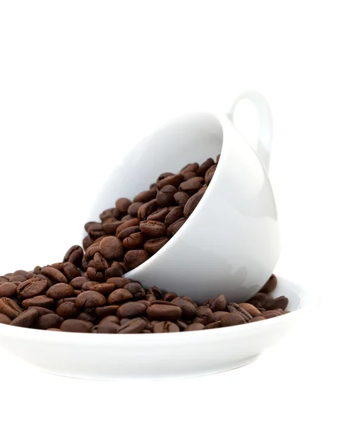 White cup with coffee beans — Stock Photo, Image