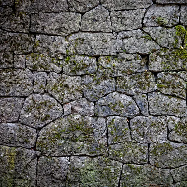 Stenen muur Stockfoto