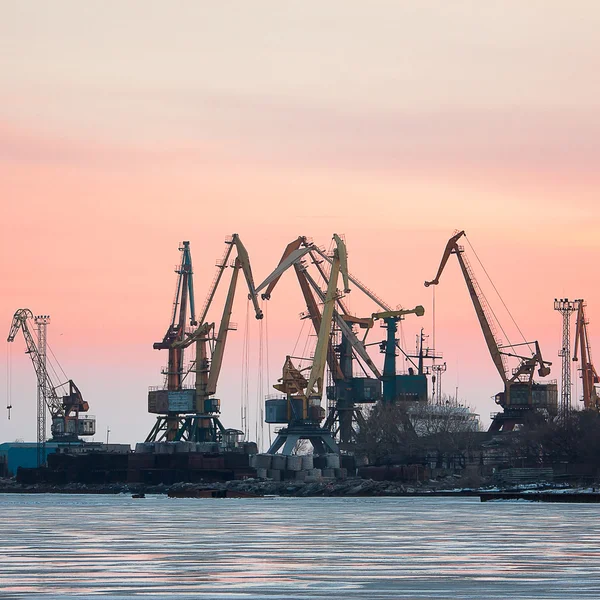 Вид на морской порт с кранами — стоковое фото