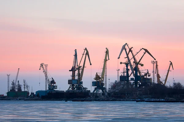 Вид на морской порт с кранами — стоковое фото