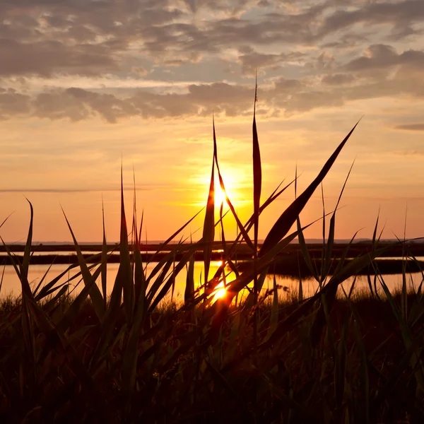Jezero západ slunce — Stock fotografie