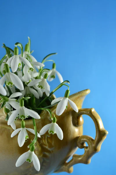 Beutiful snowdrops in a retro vase with blue background — Stock Photo, Image
