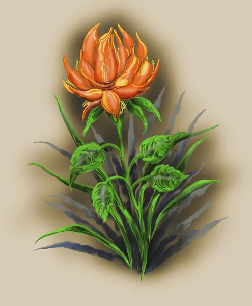Tulipunainen kukka . — kuvapankkivalokuva