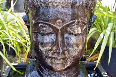 Budha in a garden setting. clipart