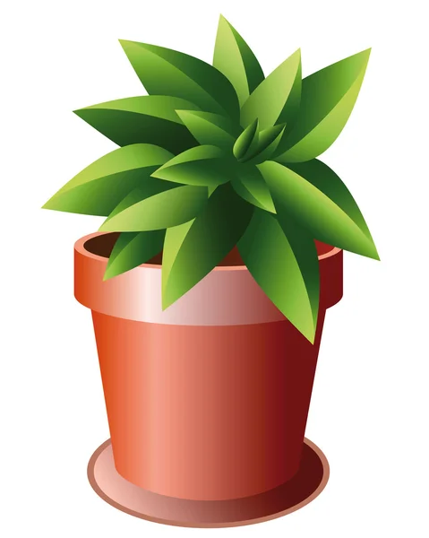 Seramik kap yeşil bitki — Stok Vektör